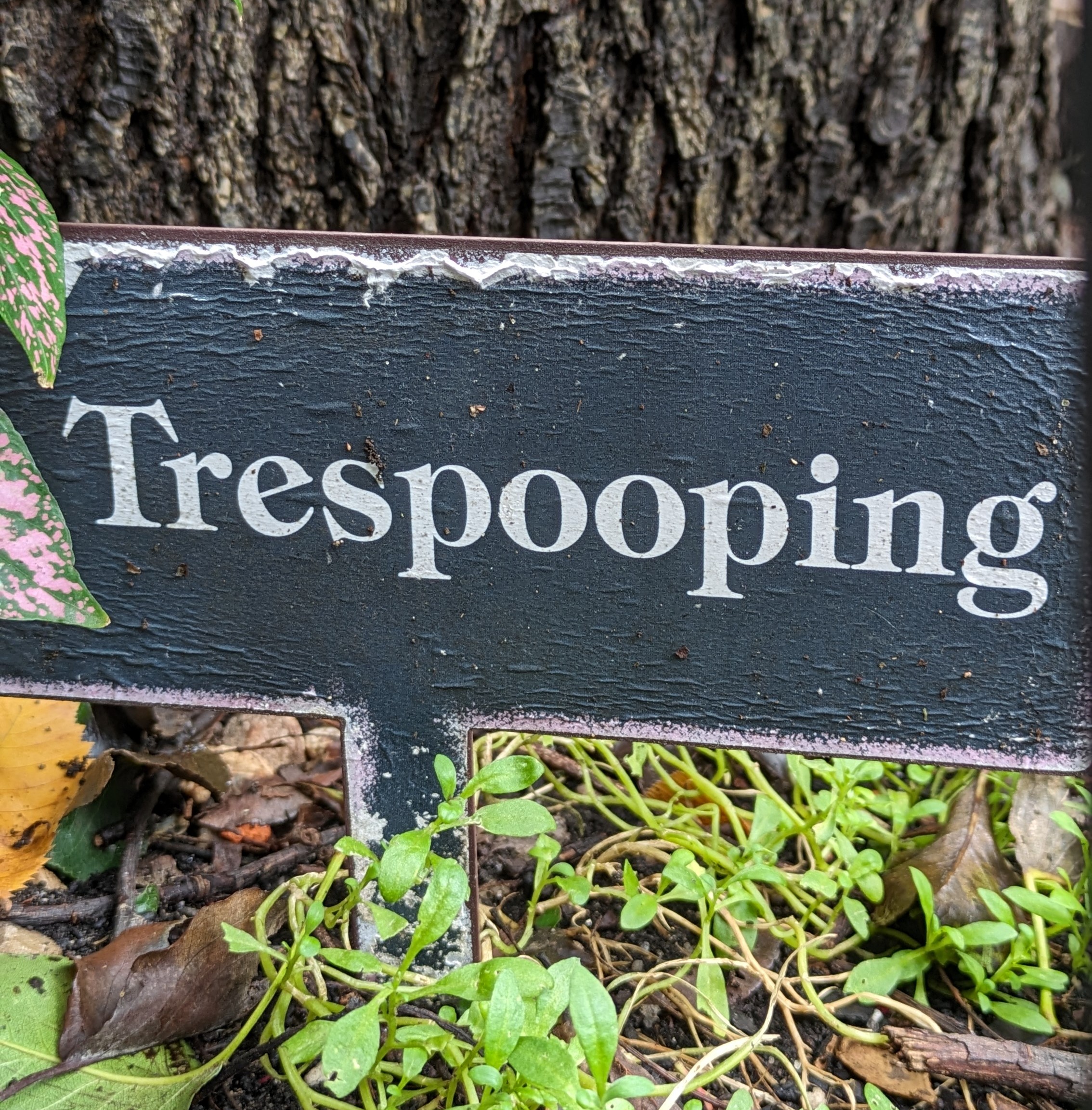 Photograph of an aging sign in a garden that reads	Trespooping in white serif font on a black background.