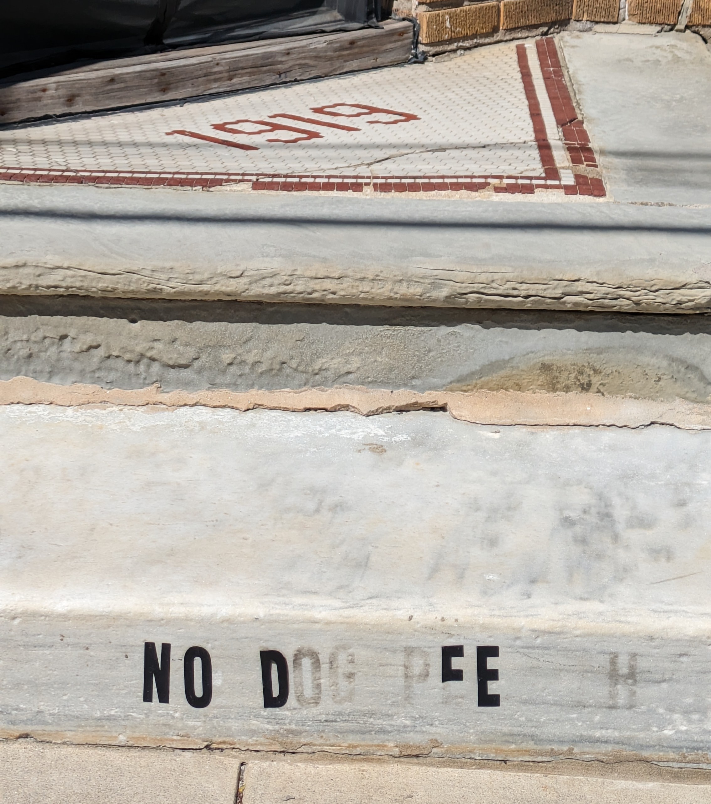 Photograph of the other side of the same stone steps with the same aging vinyl lettering thing happening. Because of the remaining glue you can barely make out that it also says NO DOG PEE THX, but the only stickers that remain are the full NO, the D in dog, and the two E's in pee.
